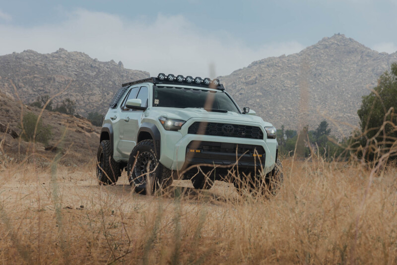Toyota 4Runner Exterior Window Molle Panels - Passenger - DV8 Offroad - DV8 5th Gen 4Runner Roof Rack (RRTF3-02) - Black - `25-`26